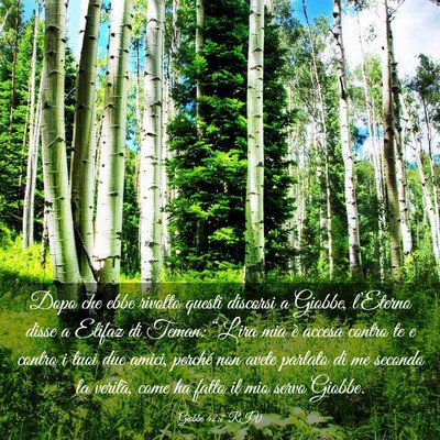 Picture 03 - Giobbe 42:7 RIV - Dopo che ebbe rivolto questi discorsi a Giobbe, - Bible Verse Picture