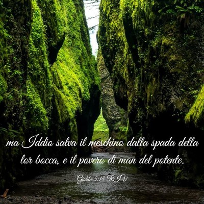 Picture 03 - Giobbe 5:15 RIV - ma Iddio salva il meschino dalla spada della lor - Bible Verse Picture