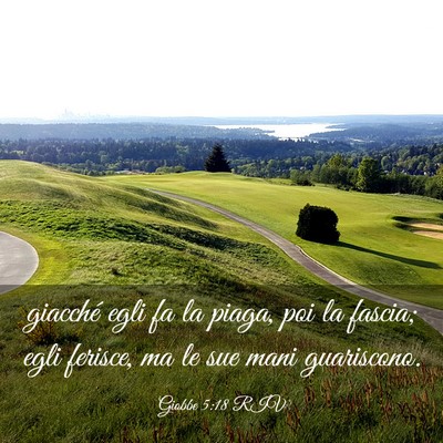 Picture 03 - Giobbe 5:18 RIV - giacché egli fa la piaga, poi la fascia; egli - Bible Verse Picture