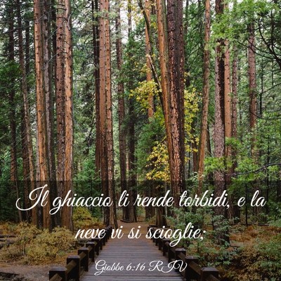 Picture 03 - Giobbe 6:16 RIV - Il ghiaccio li rende torbidi, e la neve vi si - Bible Verse Picture