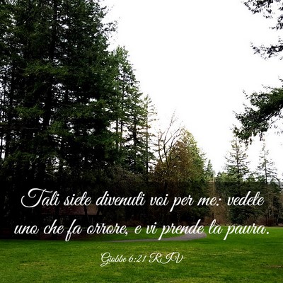Picture 03 - Giobbe 6:21 RIV - Tali siete divenuti voi per me: vedete uno che fa - Bible Verse Picture