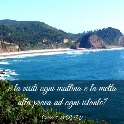 Picture 03 - Giobbe 7:18 RIV - e lo visiti ogni mattina e lo metta alla prova ad - Bible Verse Picture