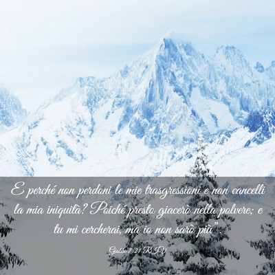 Picture 03 - Giobbe 7:21 RIV - E perché non perdoni le mie trasgressioni e non - Bible Verse Picture