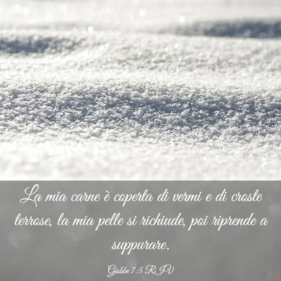 Picture 03 - Giobbe 7:5 RIV - La mia carne è coperta di vermi e di croste - Bible Verse Picture