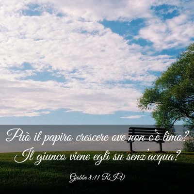 Picture 03 - Giobbe 8:11 RIV - Può il papiro crescere ove non c’è limo? Il - Bible Verse Picture
