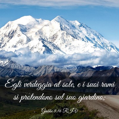 Picture 03 - Giobbe 8:16 RIV - Egli verdeggia al sole, e i suoi rami si - Bible Verse Picture