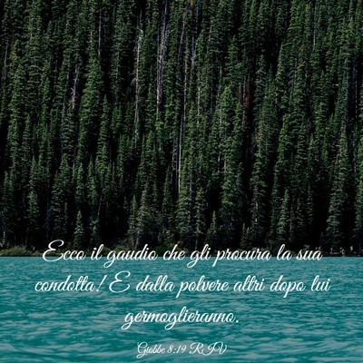 Picture 03 - Giobbe 8:19 RIV - Ecco il gaudio che gli procura la sua condotta! E - Bible Verse Picture