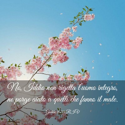 Picture 03 - Giobbe 8:20 RIV - No, Iddio non rigetta l’uomo integro, ne porge - Bible Verse Picture