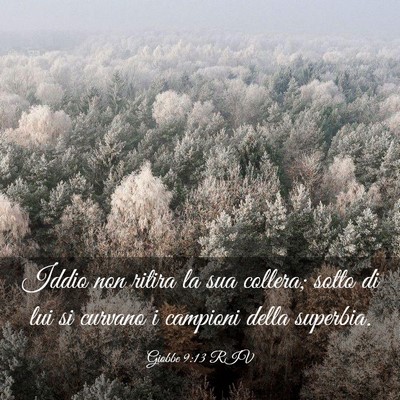 Picture 03 - Giobbe 9:13 RIV - Iddio non ritira la sua collera; sotto di lui si - Bible Verse Picture