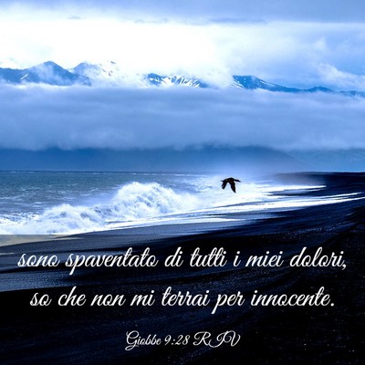 Picture 03 - Giobbe 9:28 RIV - sono spaventato di tutti i miei dolori, so che - Bible Verse Picture