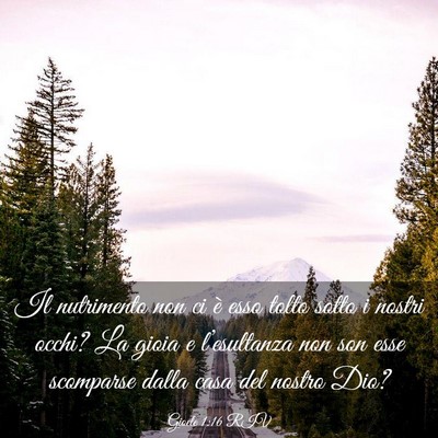 Picture 03 - Gioele 1:16 RIV - Il nutrimento non ci è esso tolto sotto i nostri - Bible Verse Picture