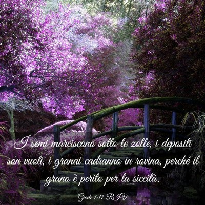 Picture 03 - Gioele 1:17 RIV - I semi marciscono sotto le zolle, i depositi son - Bible Verse Picture