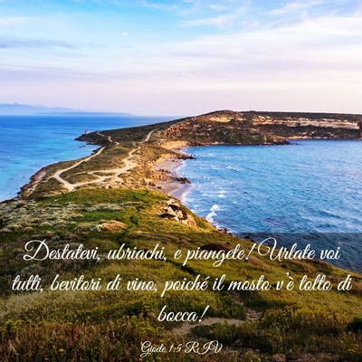 Picture 03 - Gioele 1:5 RIV - Destatevi, ubriachi, e piangete! Urlate voi - Bible Verse Picture