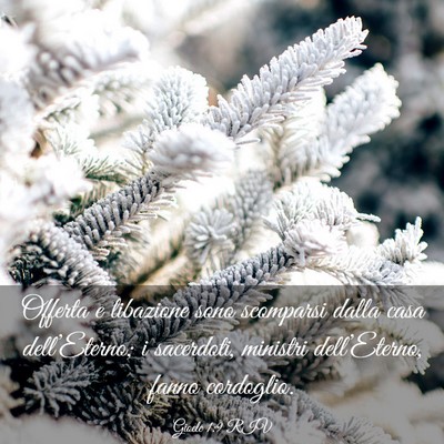 Picture 03 - Gioele 1:9 RIV - Offerta e libazione sono scomparsi dalla casa - Bible Verse Picture
