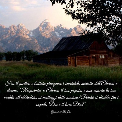 Picture 03 - Gioele 2:17 RIV - Fra il portico e l’altare piangano i sacerdoti, - Bible Verse Picture