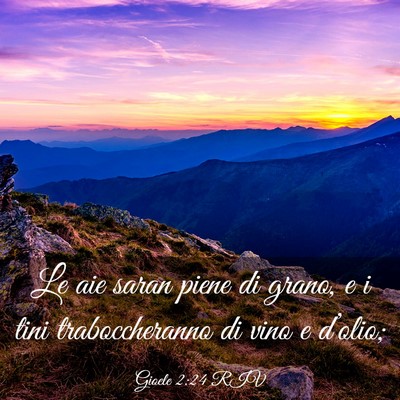 Picture 03 - Gioele 2:24 RIV - Le aie saran piene di grano, e i tini - Bible Verse Picture