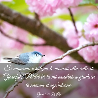 Picture 03 - Gioele 3:12 RIV - Si muovano e salgan le nazioni alla valle di - Bible Verse Picture