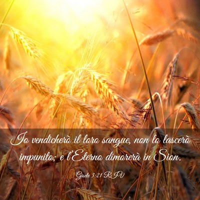 Picture 03 - Gioele 3:21 RIV - Io vendicherò il loro sangue, non lo lascerò - Bible Verse Picture