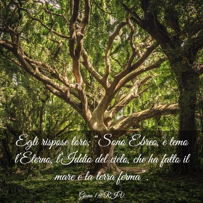 Picture 03 - Giona 1:9 RIV - Egli rispose loro: “Sono Ebreo, e temo - Bible Verse Picture