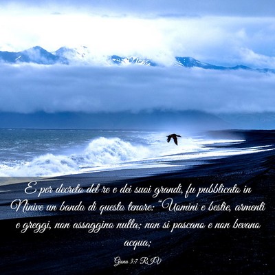 Picture 03 - Giona 3:7 RIV - E per decreto del re e dei suoi grandi, fu - Bible Verse Picture