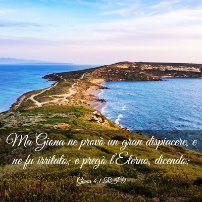 Picture 03 - Giona 4:1 RIV - Ma Giona ne provò un gran dispiacere, e ne fu - Bible Verse Picture
