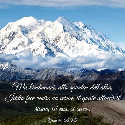 Picture 03 - Giona 4:7 RIV - Ma l’indomani, allo spuntar dell’alba, Iddio - Bible Verse Picture