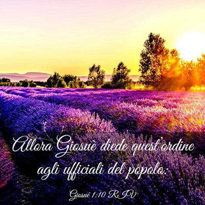 Picture 03 - Giosué 1:10 RIV - Allora Giosuè diede quest’ordine agli - Bible Verse Picture