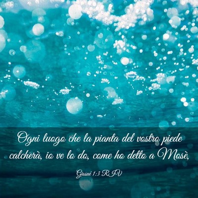 Picture 03 - Giosué 1:3 RIV - Ogni luogo che la pianta del vostro piede - Bible Verse Picture