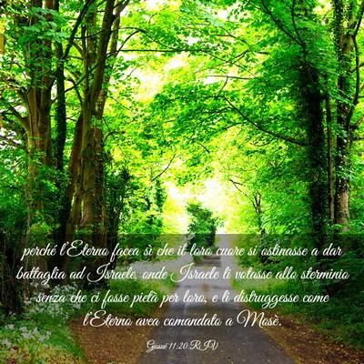Picture 03 - Giosué 11:20 RIV - perché l’Eterno facea sì che il loro cuore si - Bible Verse Picture