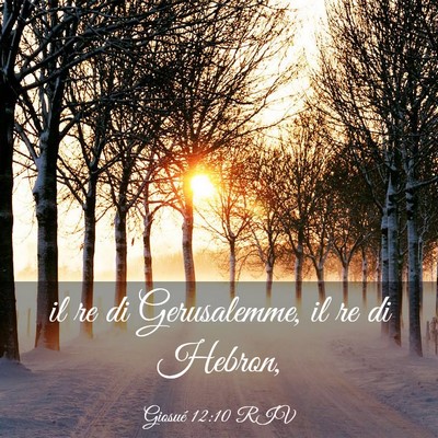 Picture 03 - Giosué 12:10 RIV - il re di Gerusalemme, il re di - Bible Verse Picture