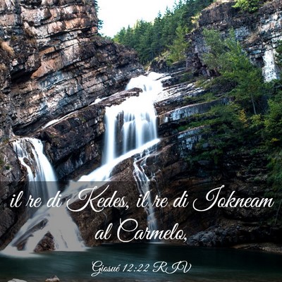 Picture 03 - Giosué 12:22 RIV - il re di Kedes, il re di Iokneam al - Bible Verse Picture