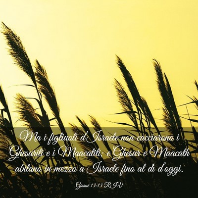 Picture 03 - Giosué 13:13 RIV - Ma i figliuoli d’Israele non cacciarono i - Bible Verse Picture