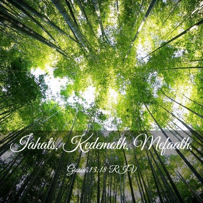 Picture 03 - Giosué 13:18 RIV - Iahats, Kedemoth, - Bible Verse Picture