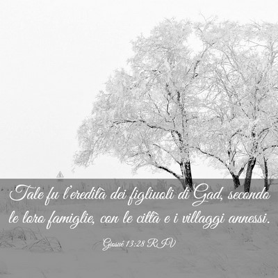 Picture 03 - Giosué 13:28 RIV - Tale fu l’eredità dei figliuoli di Gad, - Bible Verse Picture