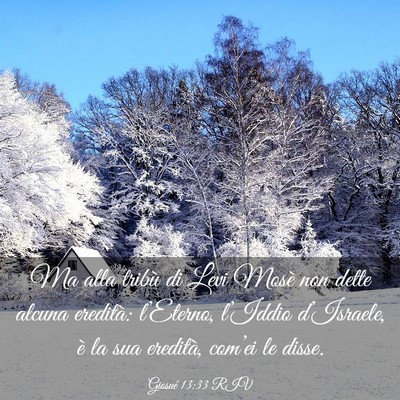 Picture 03 - Giosué 13:33 RIV - Ma alla tribù di Levi Mosè non dette alcuna - Bible Verse Picture