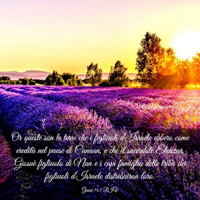 Picture 03 - Giosué 14:1 RIV - Or queste son le terre che i figliuoli - Bible Verse Picture