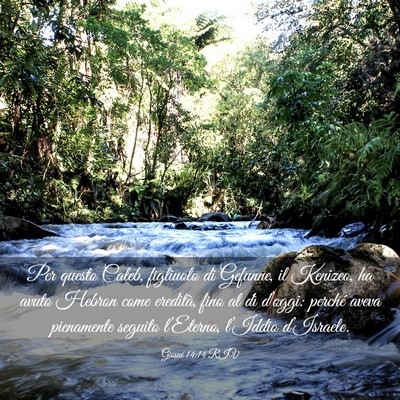 Picture 03 - Giosué 14:14 RIV - Per questo Caleb, figliuolo di Gefunne, il - Bible Verse Picture