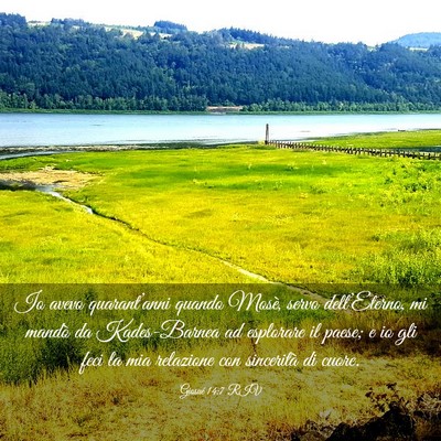 Picture 03 - Giosué 14:7 RIV - Io avevo quarant’anni quando Mosè, servo - Bible Verse Picture
