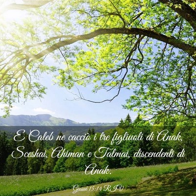 Picture 03 - Giosué 15:14 RIV - E Caleb ne cacciò i tre figliuoli di Anak, - Bible Verse Picture