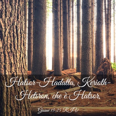 Picture 03 - Giosué 15:25 RIV - Hatsor-Hadatta, Kerioth-Hetsron, che è - Bible Verse Picture