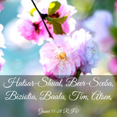 Picture 03 - Giosué 15:28 RIV - Hatsar-Shual, Beer-Sceba, Biziotia, Baala, Tim, - Bible Verse Picture