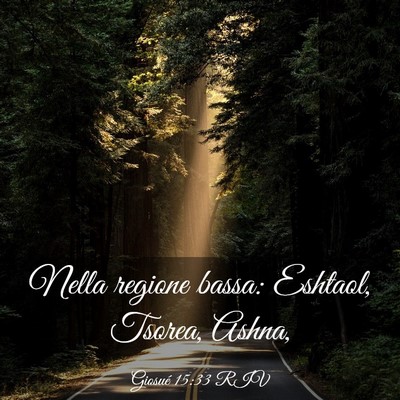 Picture 03 - Giosué 15:33 RIV - Nella regione bassa: Eshtaol, Tsorea, - Bible Verse Picture