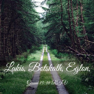 Picture 03 - Giosué 15:39 RIV - Lakis, Botskath, - Bible Verse Picture