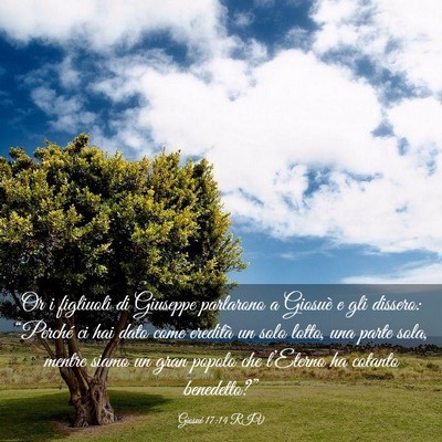 Picture 03 - Giosué 17:14 RIV - Or i figliuoli di Giuseppe parlarono a Giosuè e - Bible Verse Picture