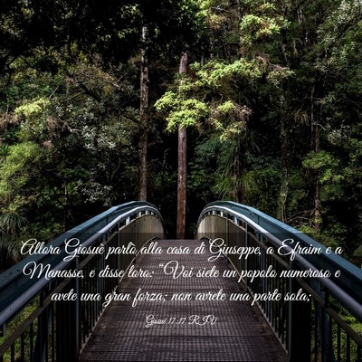 Picture 03 - Giosué 17:17 RIV - Allora Giosuè parlò alla casa di Giuseppe, a - Bible Verse Picture