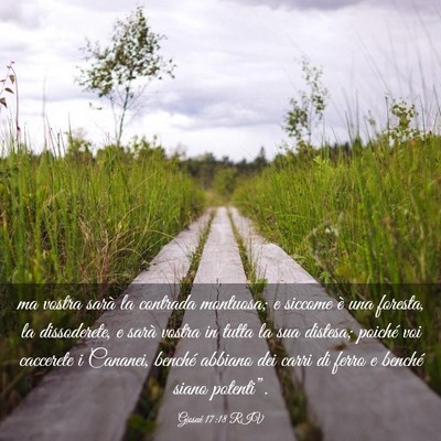 Picture 03 - Giosué 17:18 RIV - ma vostra sarà la contrada montuosa; e siccome - Bible Verse Picture