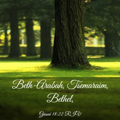 Picture 03 - Giosué 18:22 RIV - Beth-Arabah, Tsemaraim, - Bible Verse Picture