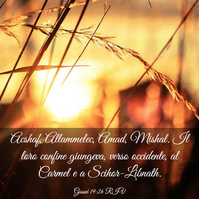 Picture 03 - Giosué 19:26 RIV - Acshaf, Allammelec, Amad, Mishal. Il loro confine - Bible Verse Picture