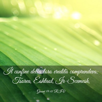 Picture 03 - Giosué 19:41 RIV - Il confine della loro eredità comprendeva: - Bible Verse Picture