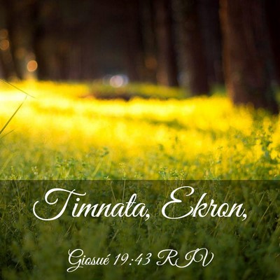 Picture 03 - Giosué 19:43 RIV - Timnata, - Bible Verse Picture